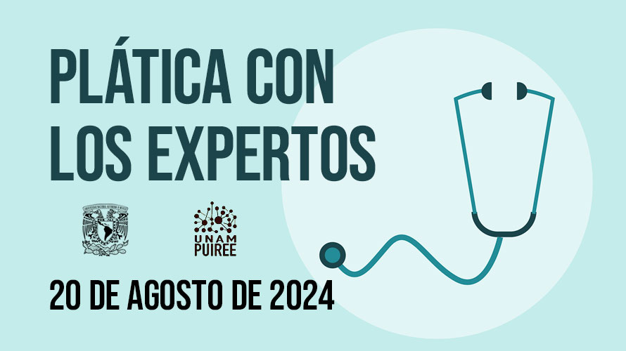 Imagen plática expertos