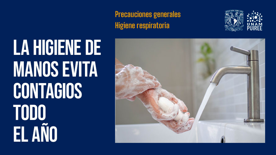 Imagen plática expertos