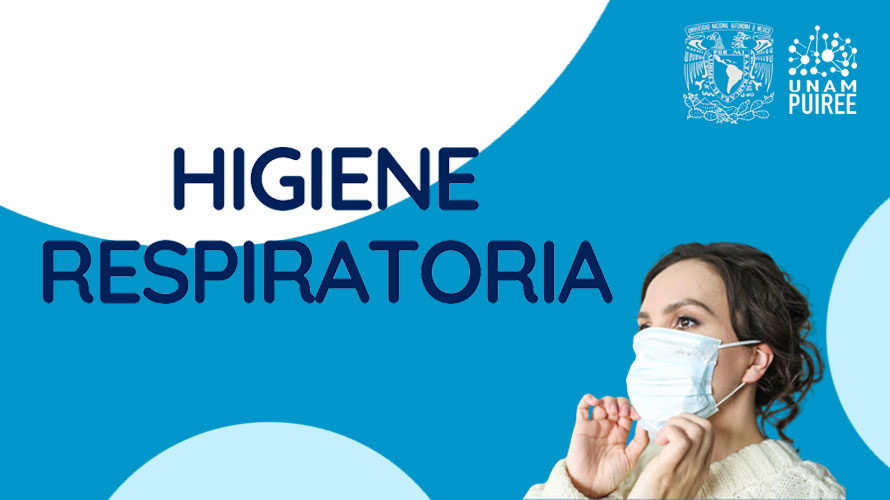 Imagen plática expertos