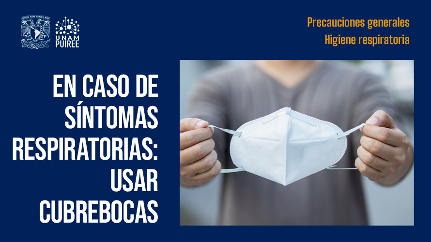 Imagen plática expertos