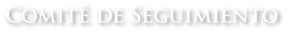 comité de seguimiento